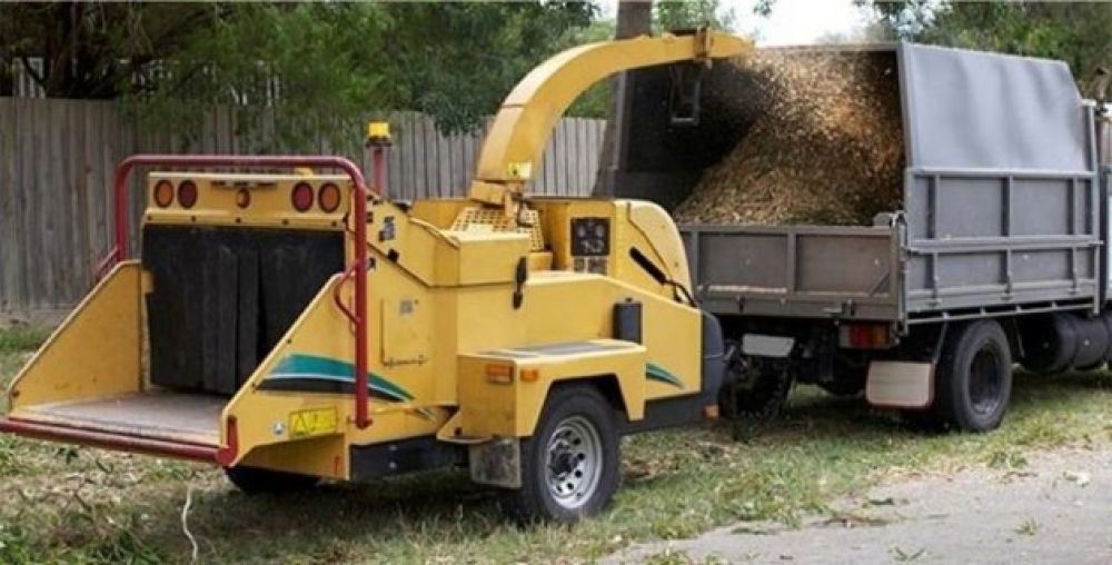 invader tree eradication at Theewater Sports Club